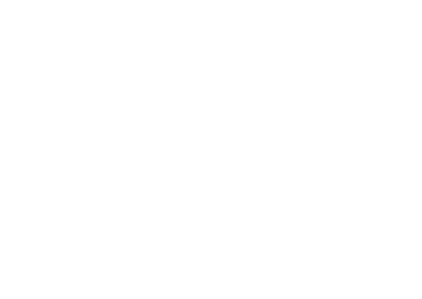 tireex loader